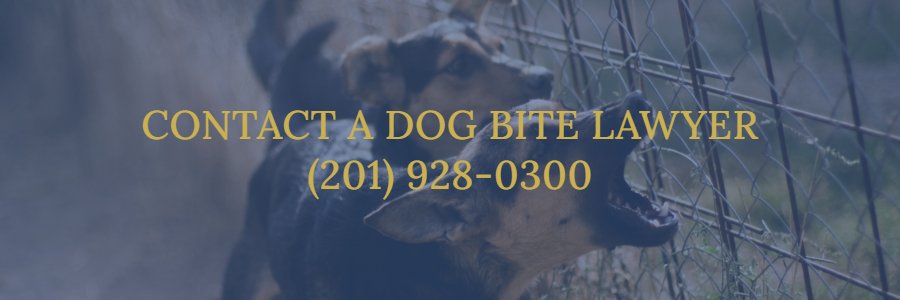 Hackensack dog bite lawyer